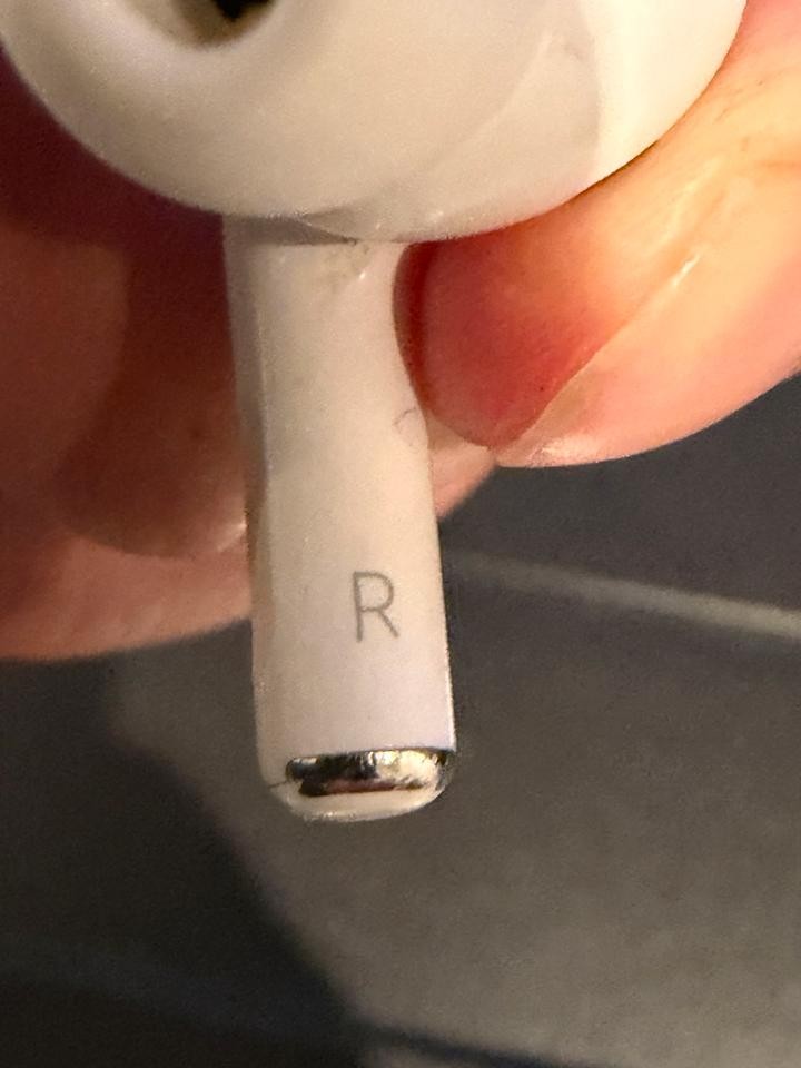 Stem