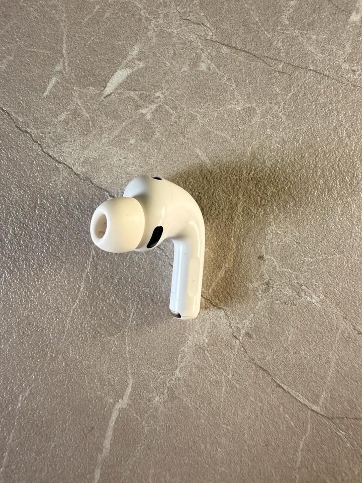 Stem
